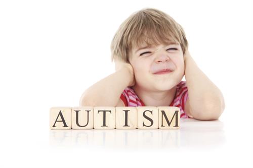 boy Autism blocks boy Autism blocks